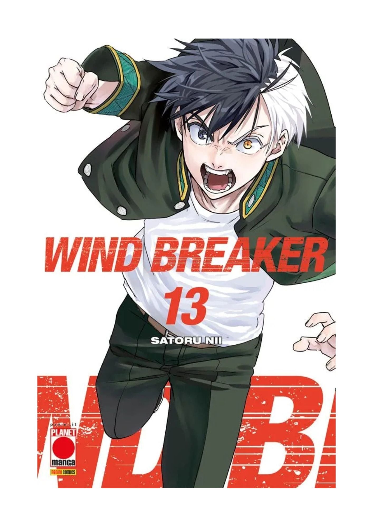 Wind Breaker 13