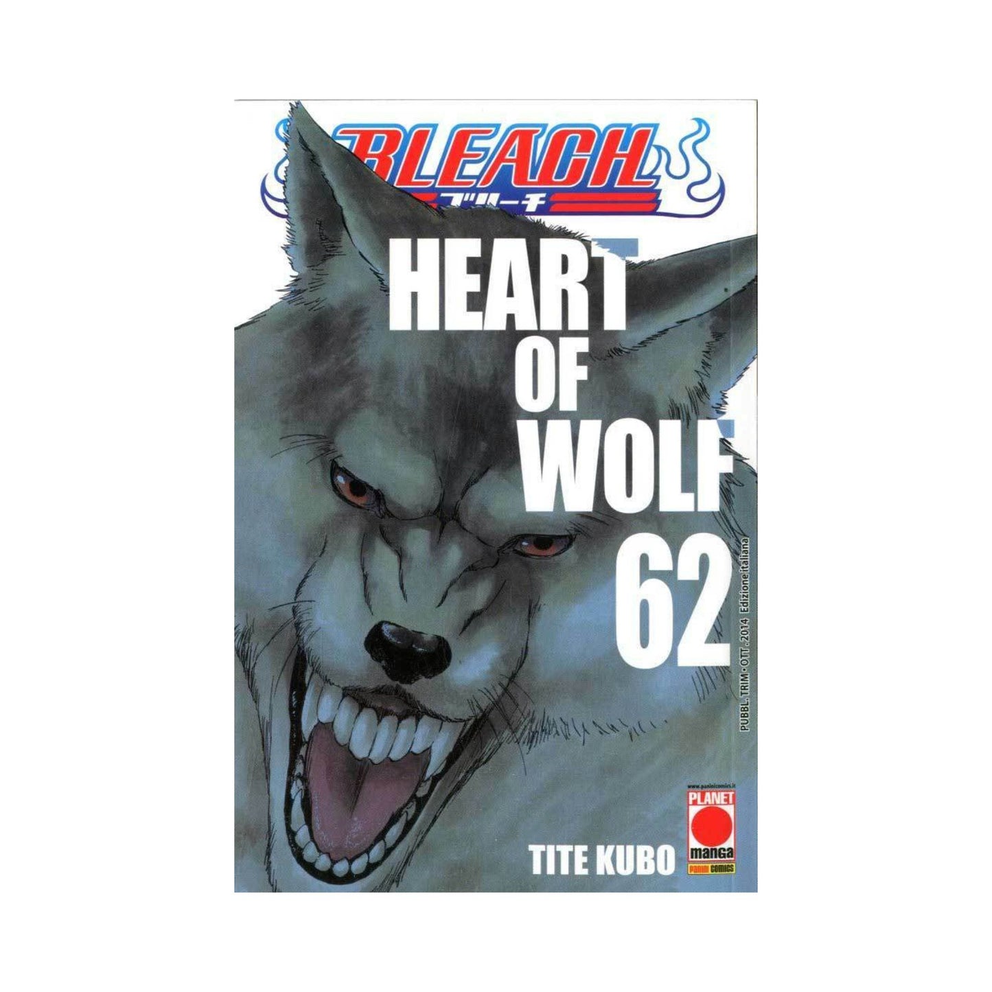 Bleach 62
