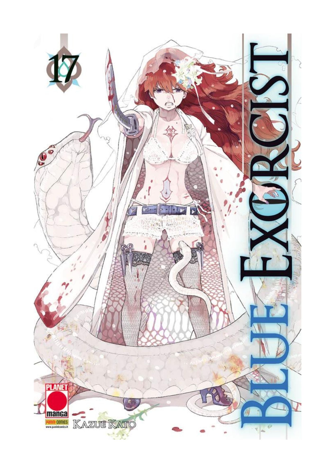 Blue Exorcist 17