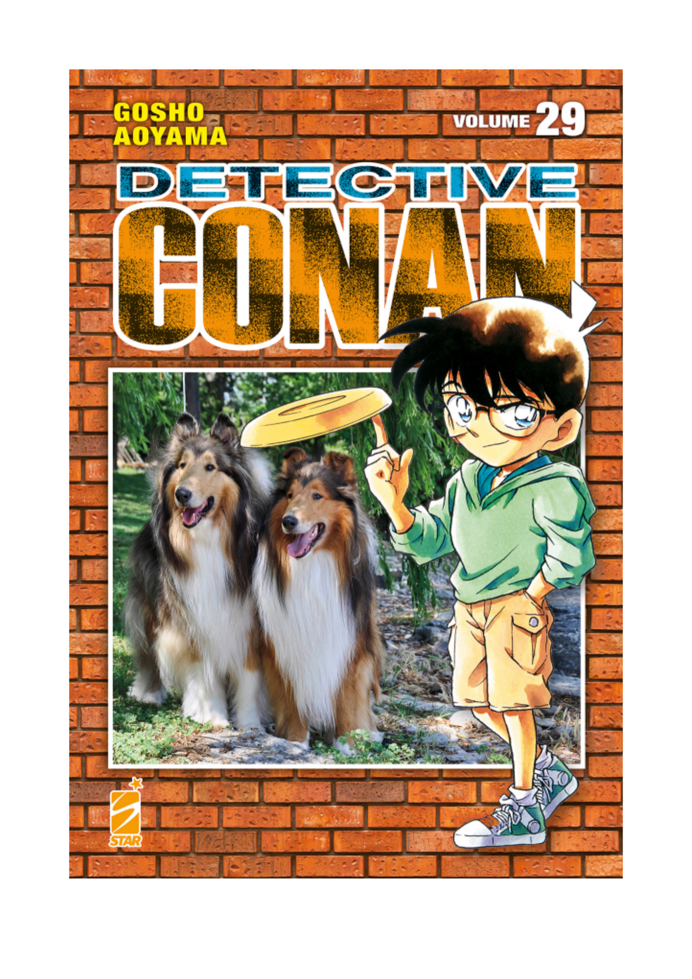 DETECTIVE CONAN 29 - NEW EDITION