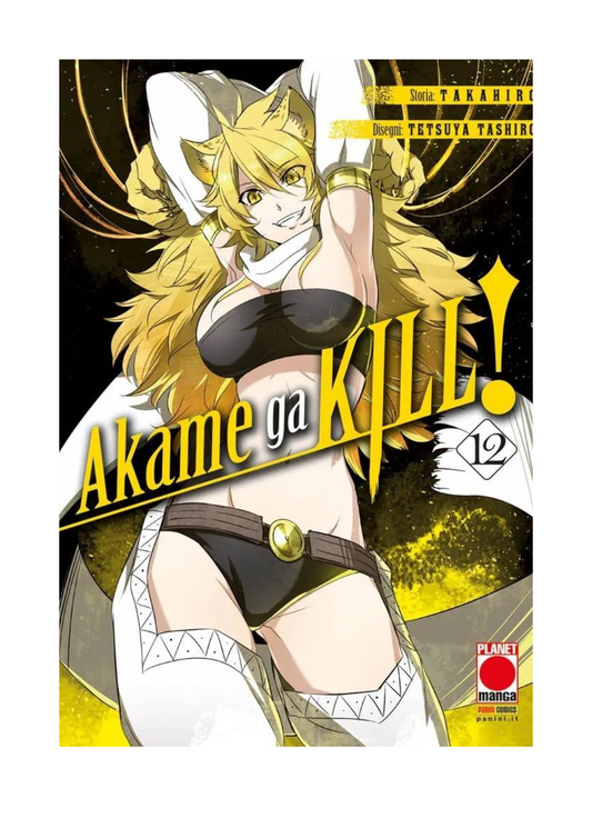 Akame Ga Kill! 12