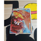 Kyogre & Groudon LEGGENDA (UD 88)- raw - ITA