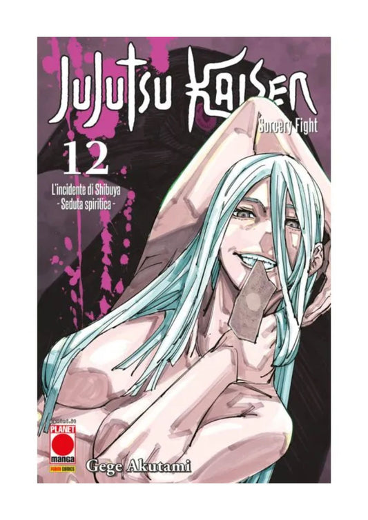 Jujutsu Kaisen – Sorcery Fight 12