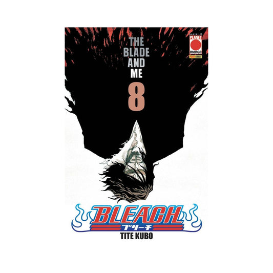 Bleach 08