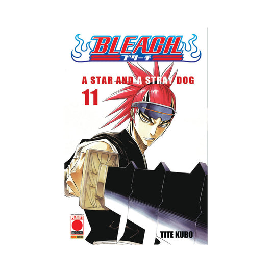 Bleach 11