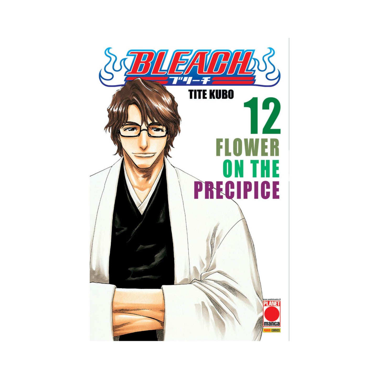 Bleach 12