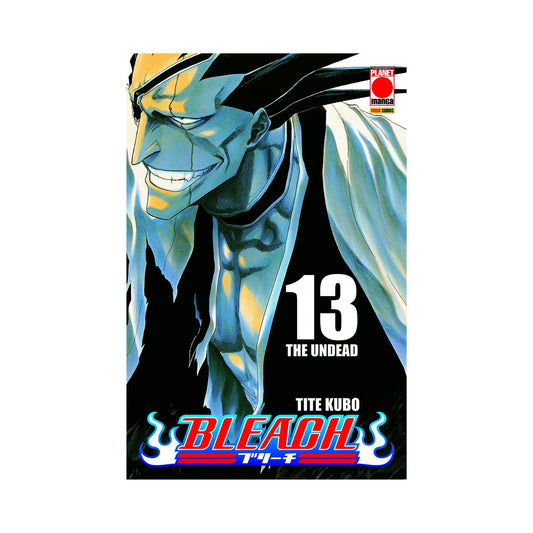 Bleach 13