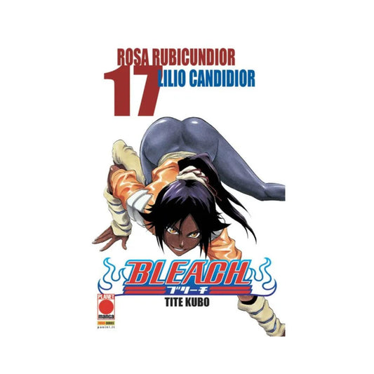 Bleach 17