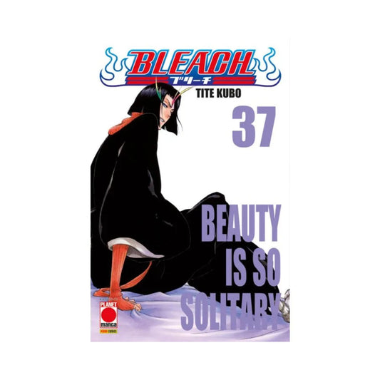 Bleach 37