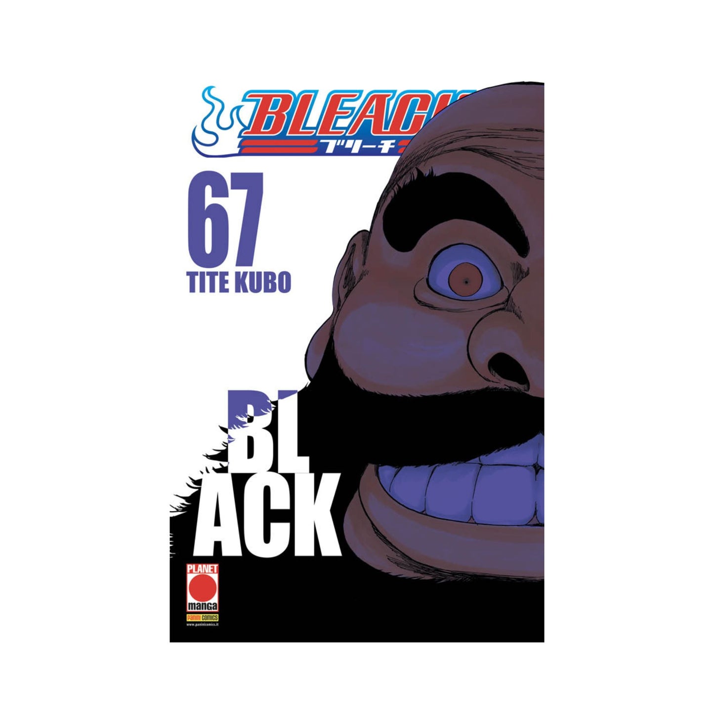 Bleach 67