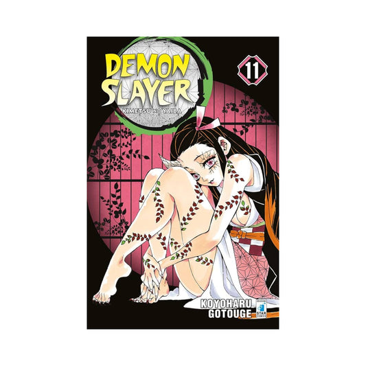 Demon Slayer - Kimetsu No Yaiba 11