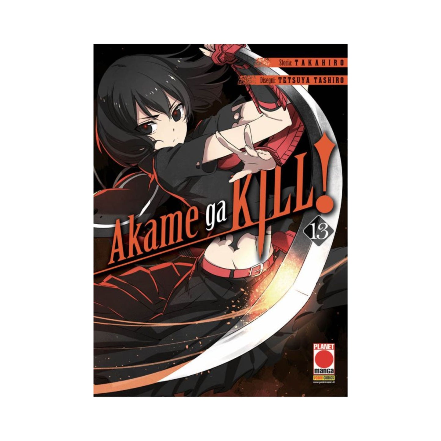 Akame Ga Kill! 13