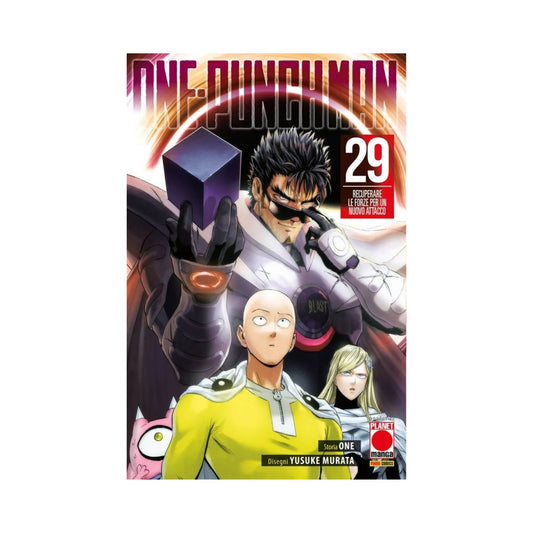 One Punch Man 29