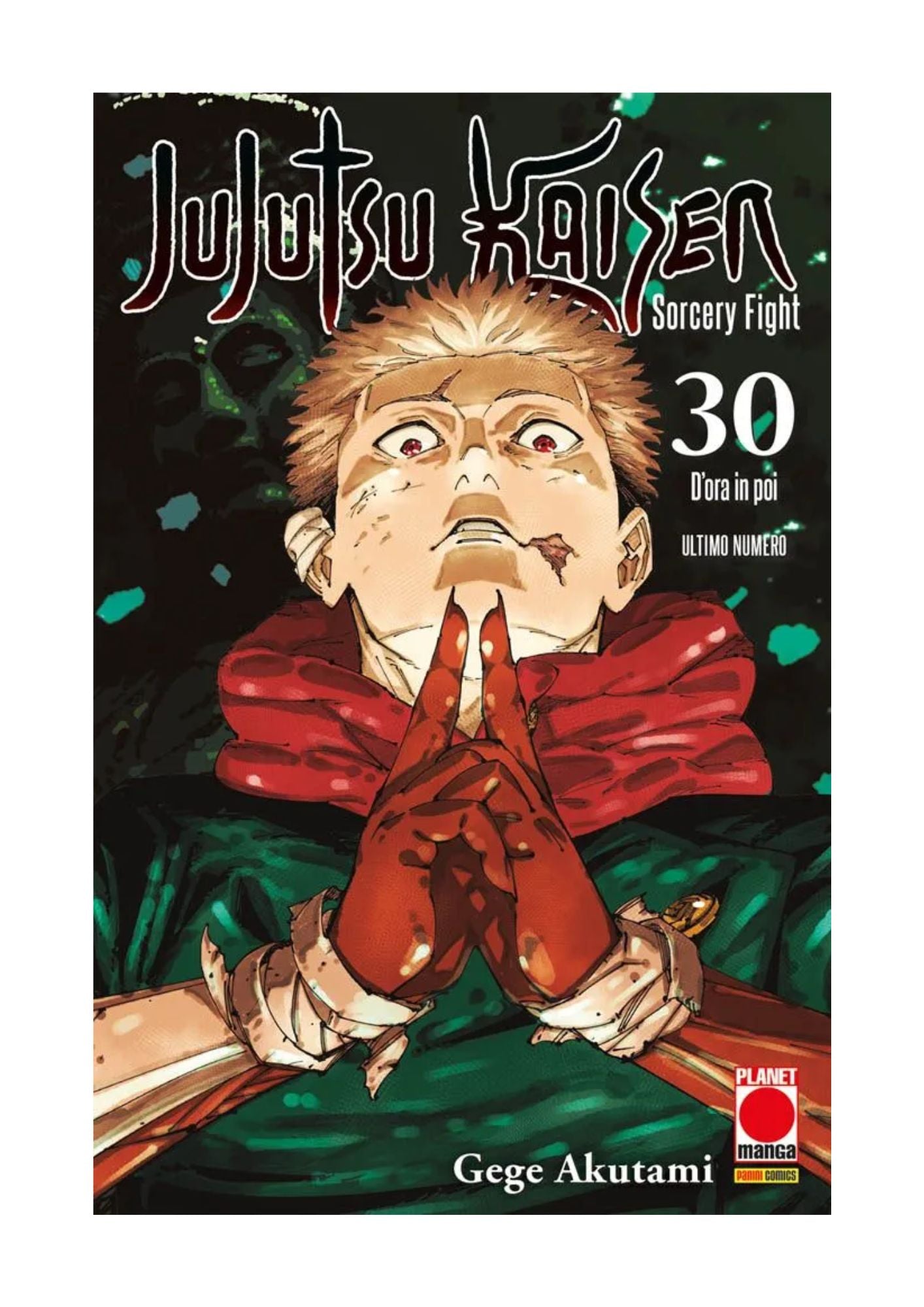 Jujutsu Kaisen – Sorcery Fight 30